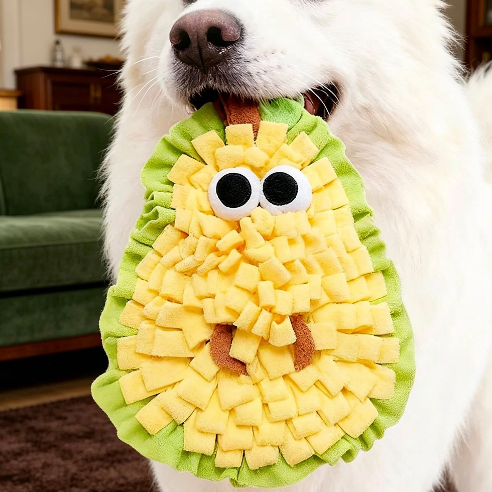 Pear and Avocado Snuffle Mat for Wholesale Interactive Antianxiety
