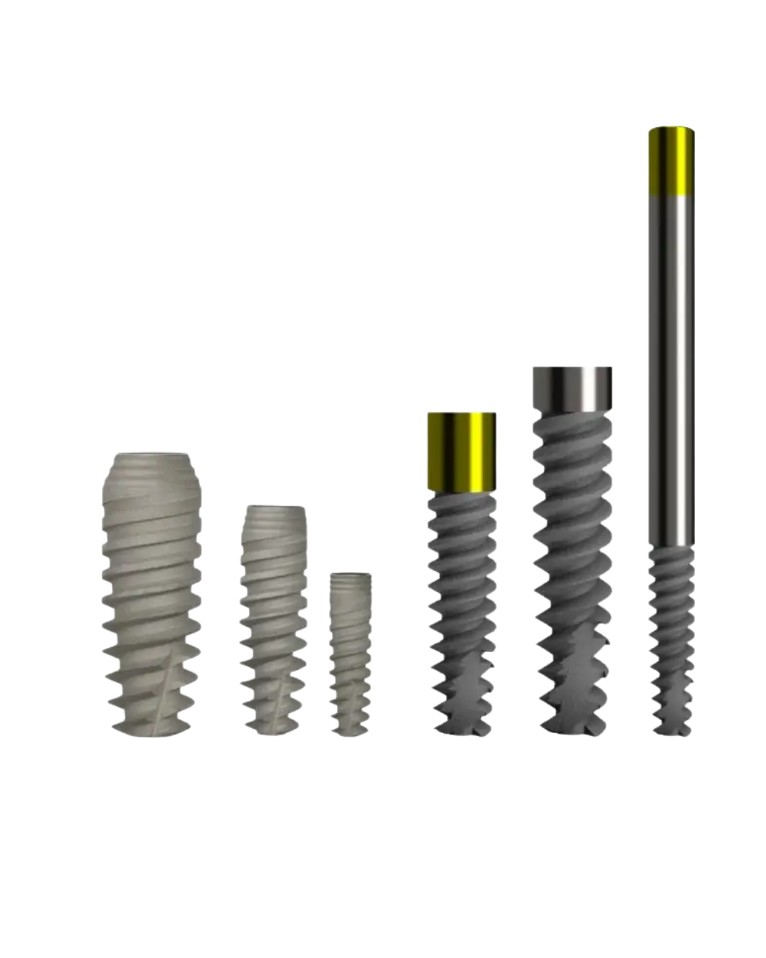 Les Implants NORMADENT