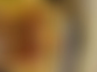 Crispy Pork Pot-stickers with Sriracha Lime Sauce