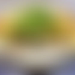 Mushroom Tart with Shaved Asparagus Salad