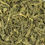 Thumbnail: Perfect Balance, Green Tea, Loose Leaf Tea