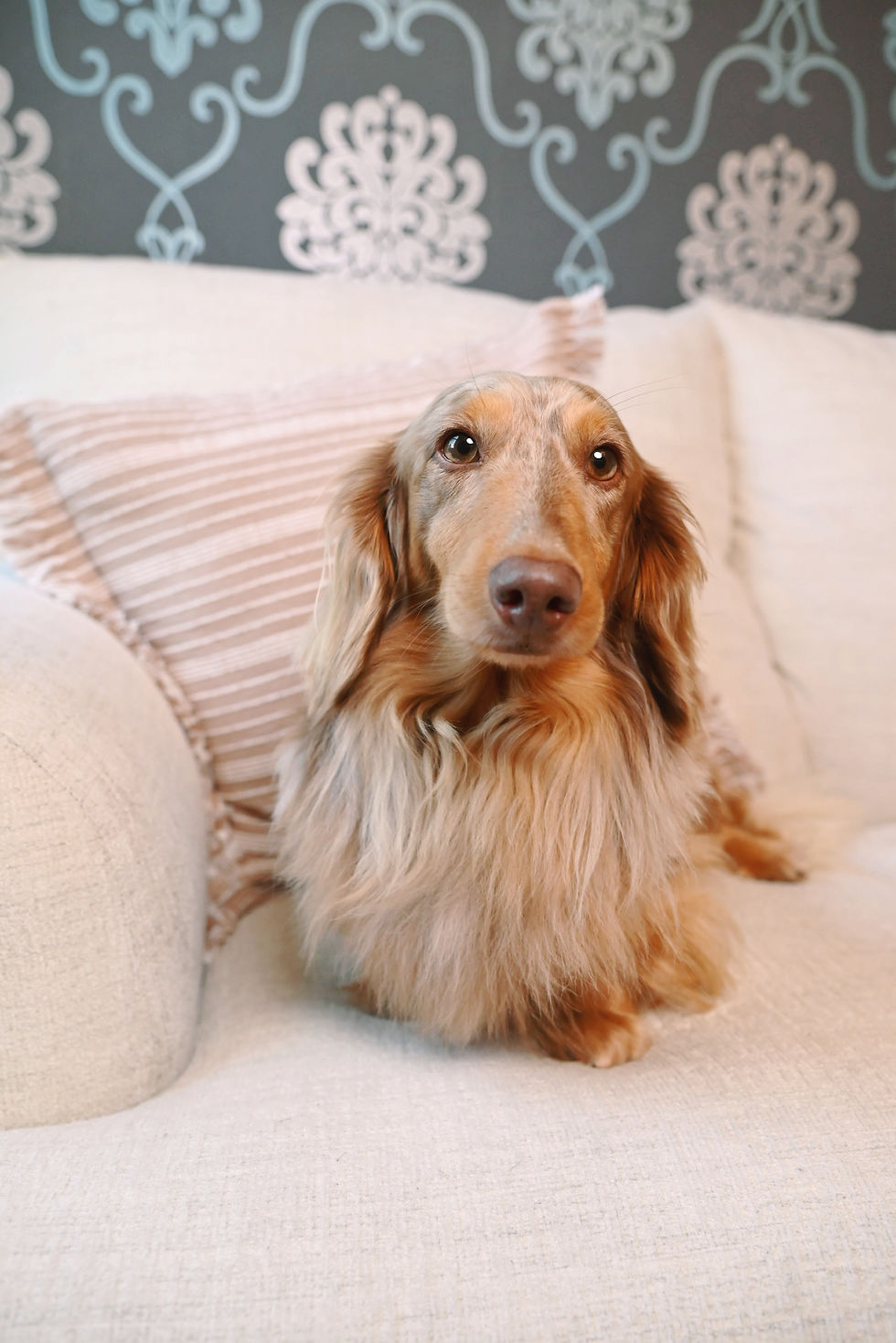 Toffee