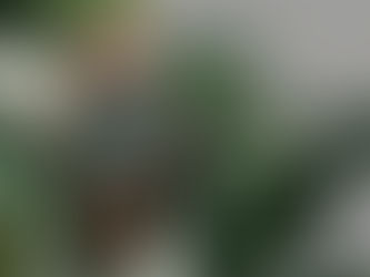 A wooden wristwatch with a green face displayed on green leaves The Evolution of Eco-Friendly Watches Sustainable Manufacturing