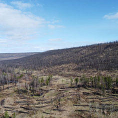 Industrial Update: Tŝideldel First Nation: Taking the Lead on Traditional Territory