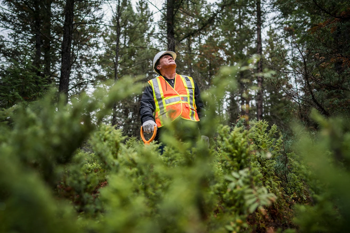 Tŝideldel News | Tsideldel FN