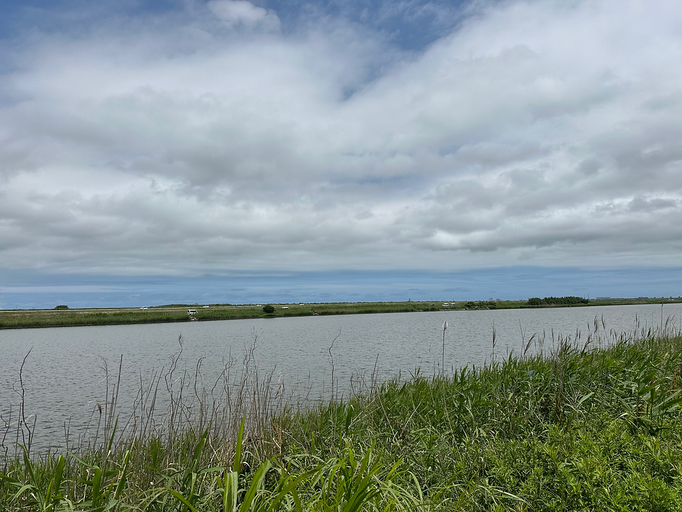 ポイントは黒部川の指定ポイントのみです。