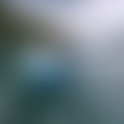 6月例会報告　西湖