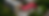 This Week Sale Email Header (3).png