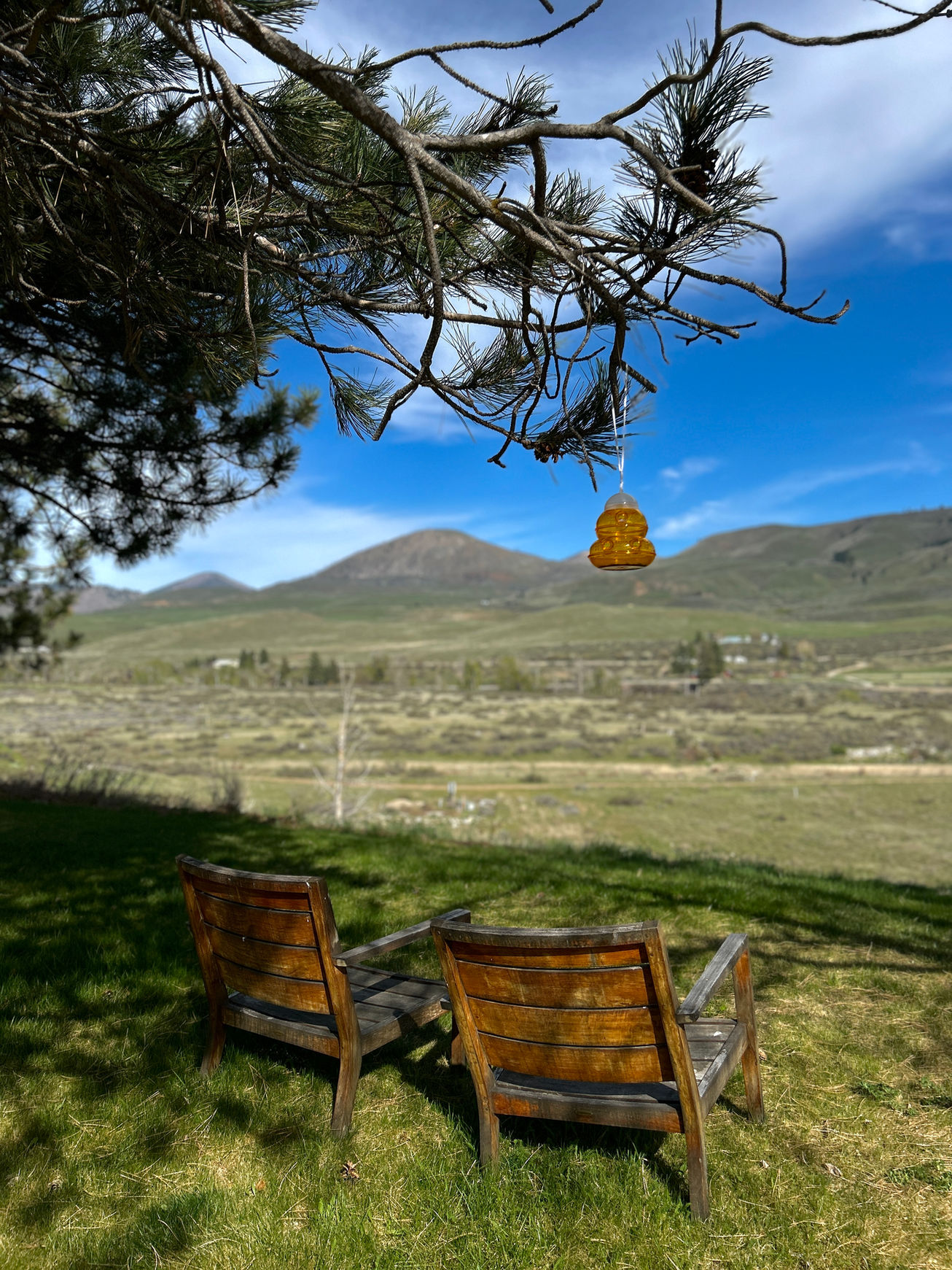 Scenic Methow Valley landscape at Casia Lodge & Ranch. Two inviting chairs placed under a tree offer a spot for birdwatching, with a bird feeder nearby.