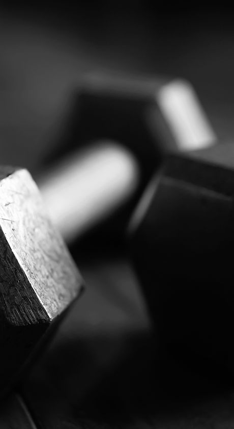 free weights