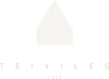 TRIVILEG_Logo_hell.png