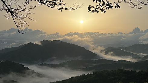 IMG_1213.jpg