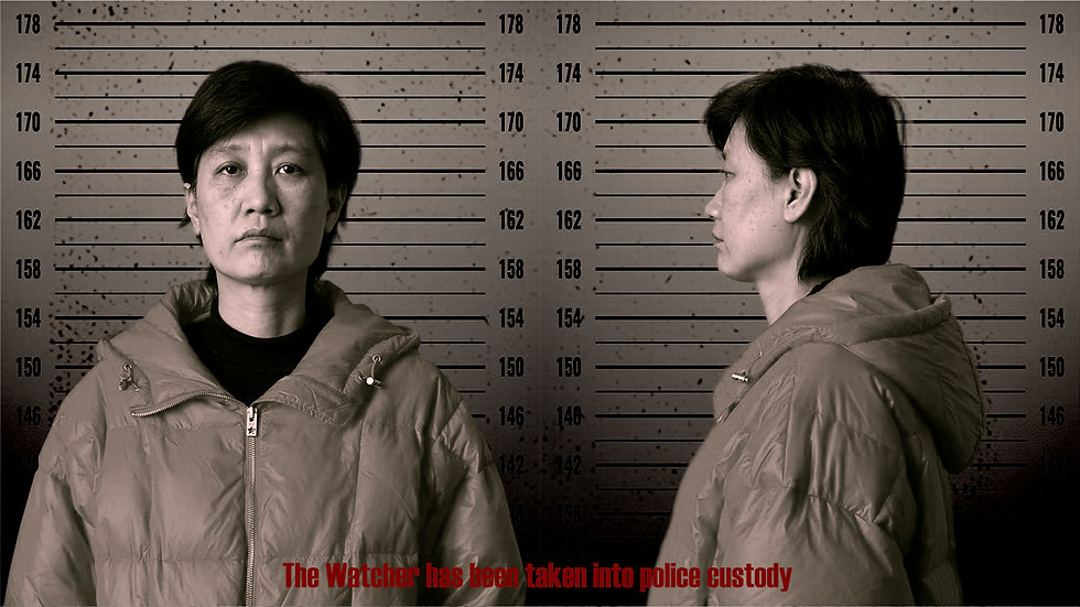 NE5-Find the Watcher