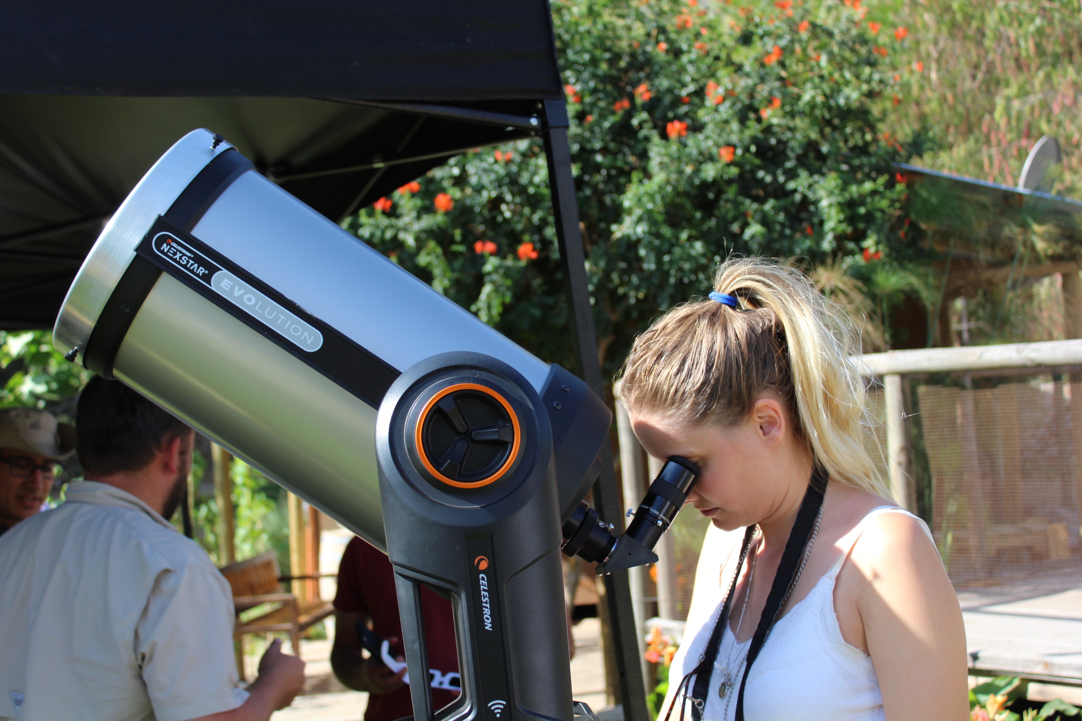 Observación Solar