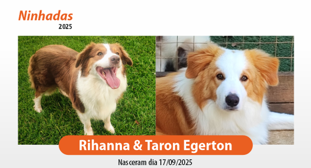 Rihanna & Taron Egerton.png