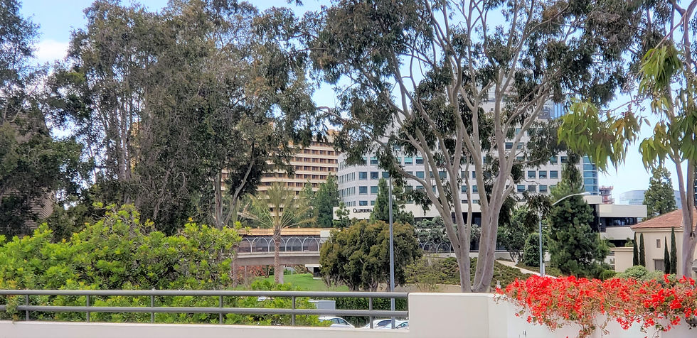 Adjacent Business Park