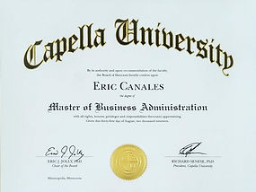 Career advancement strategies and leadership development success through online coaching