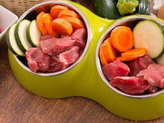 Alimentação natural para pets: Mercado promissor