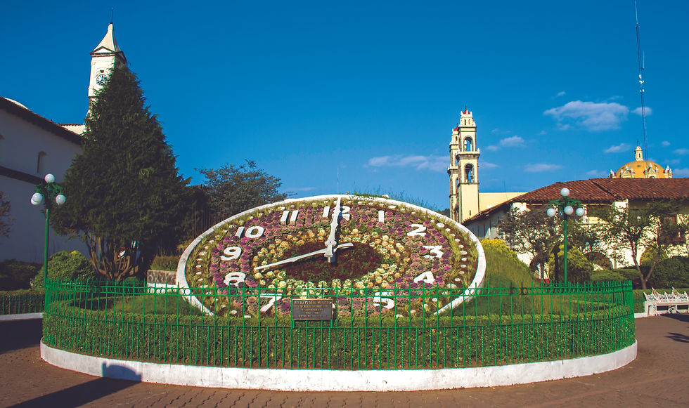 ZACATLÁN DE LAS MANZANAS - PUEBLA