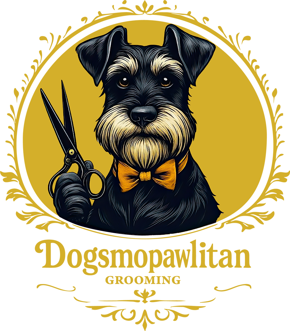 Dog Grooming Pompano Beach