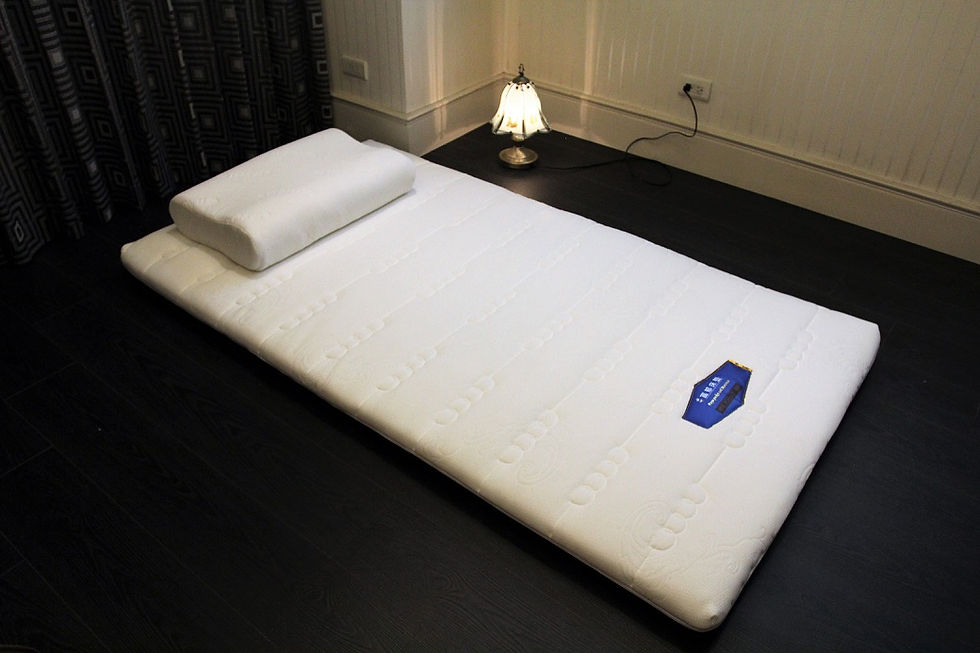 縮圖：Tencel天絲 斯里蘭卡天然乳膠獨立筒彈簧枕【台灣獨家直營工廠彈簧鍍鋅鋼線84顆彈簧】