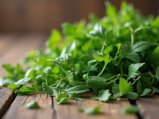 Chronic Illness Recovery Through Herbs and Healing