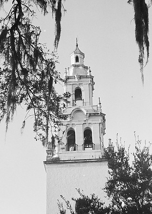 IMG-8242.jpg