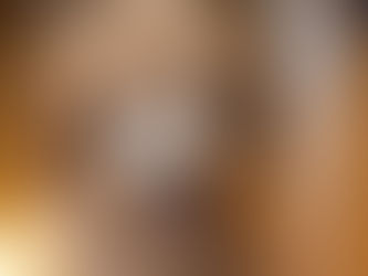 給養狗的新手們