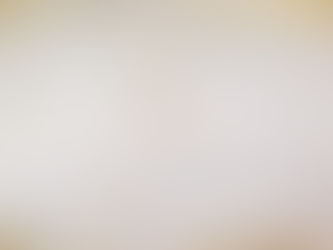 發情期貓女微創絕育