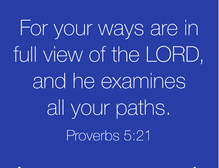 Better Than an Elf on a Shelf