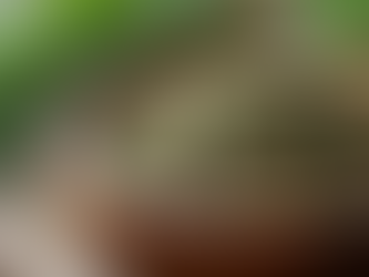 I SPECIALIZE IN CUSTOMIZED HERBAL FORMULAS