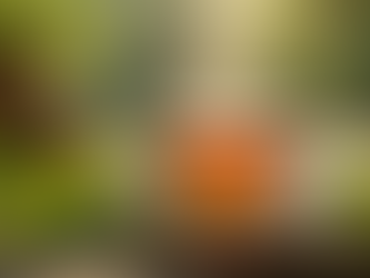 Unlocking Wellness Coaching Benefits: Your Path to a Healthier Heart and Life!