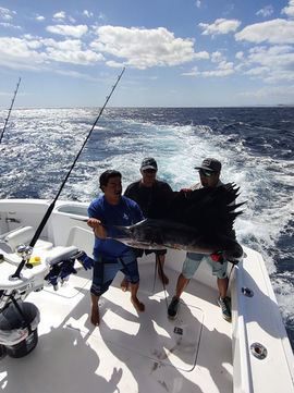 IMG-20221104-WA0006 (1).jpg