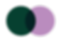 Aethetics_circles.png