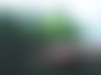 The Gresham funds 200 trees and pledges one tree for every direct booking