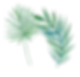 Leaves-individual2.png