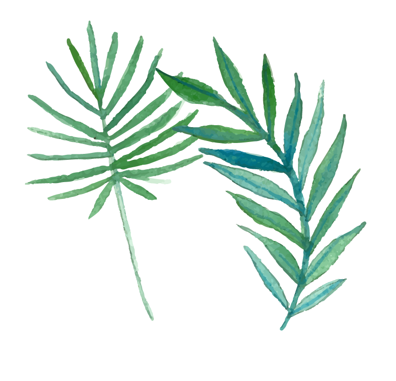 Leaves-individual2.png