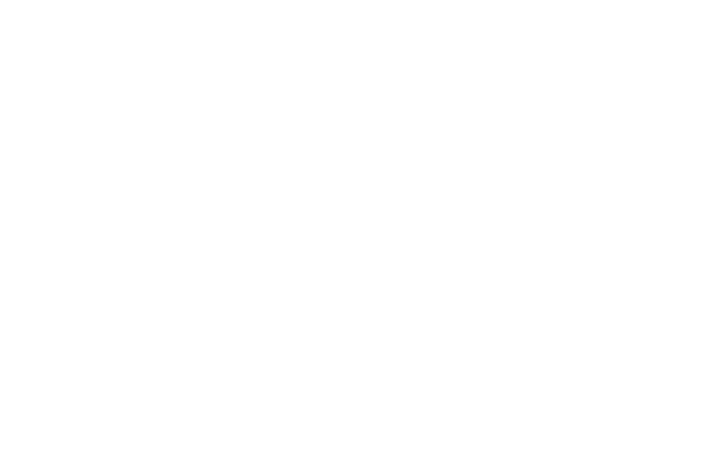 Arkus Consulting