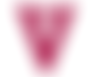V 80 logo