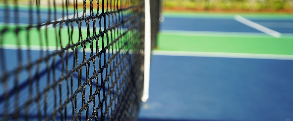 pickleball net