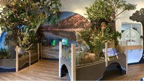 Coyote Lake-Harvey Bear Ranch Park to Host Grand Opening of Remodeled Visitor Center