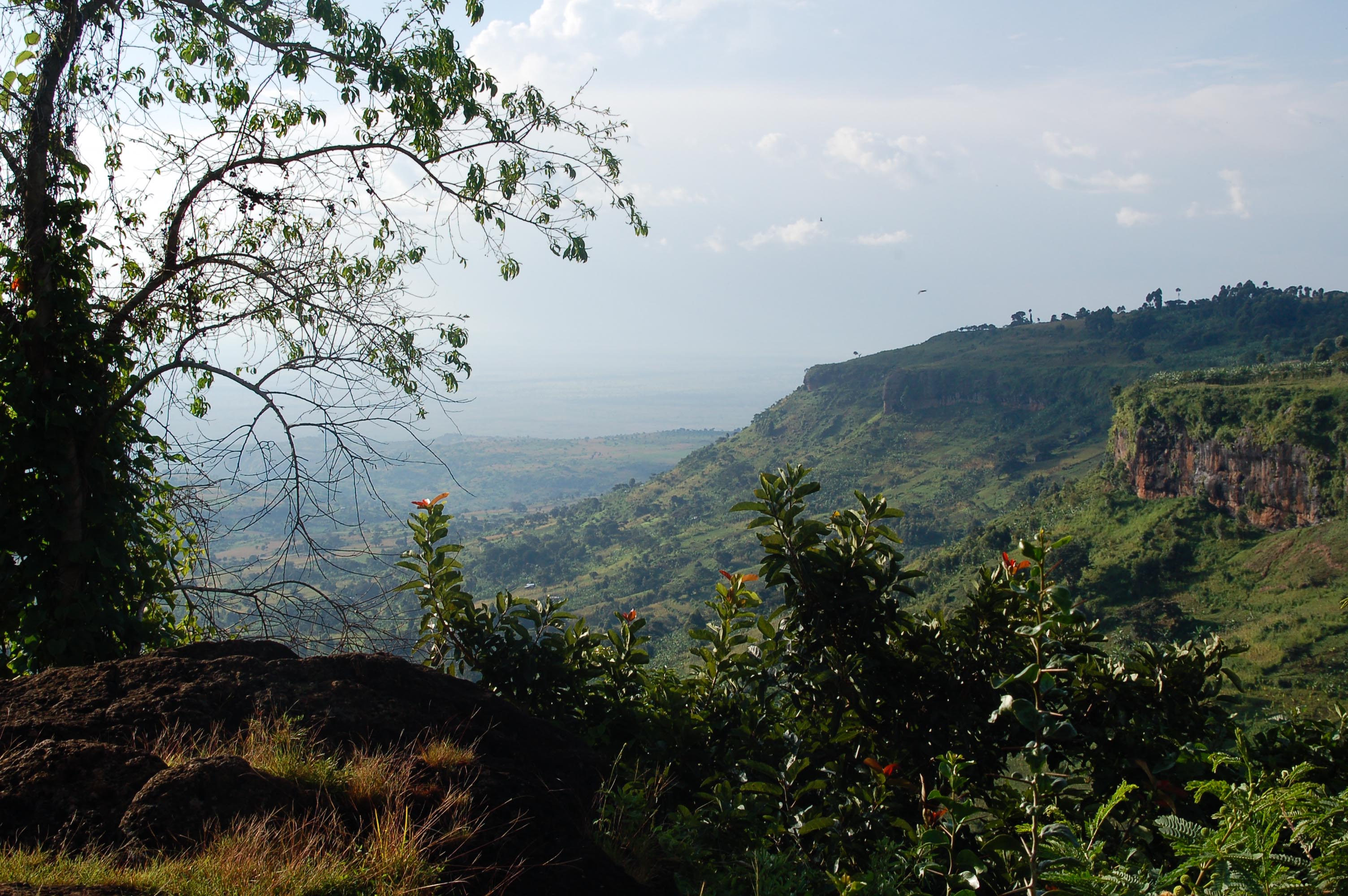 Mt. Elgon Blick ins Tal