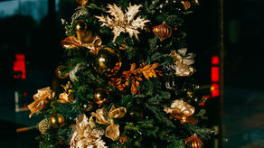 O Instituto FC deseja um Feliz Natal!