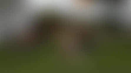 Bem-estar em movimento: Instituto FC e EClub lançam parceria exclusiva para promover saúde e qualidade de vida