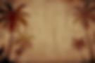palm background.jpg