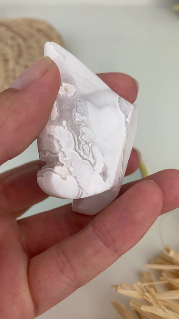 Miniature : Papillon Agate Neige