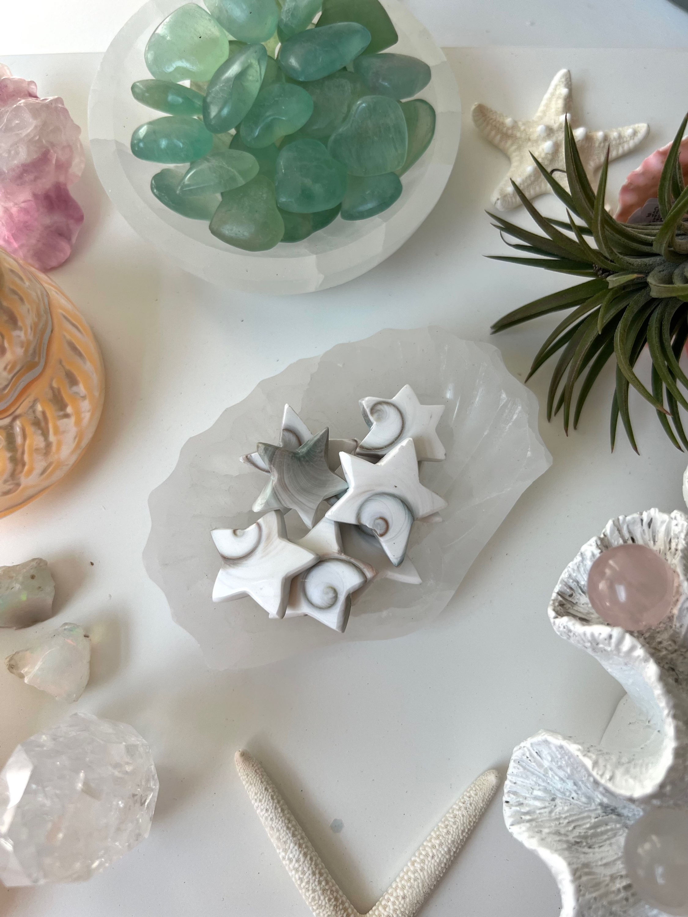 Etoile Oeil de Shiva