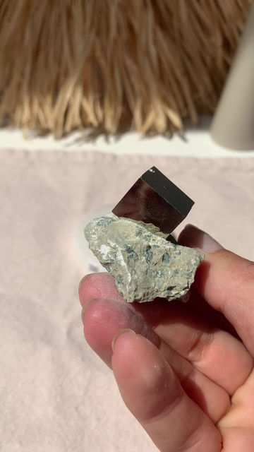 Miniature : Pyrite sur Gangue