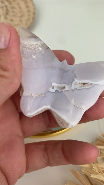 Miniature : Papillon Agate Neige