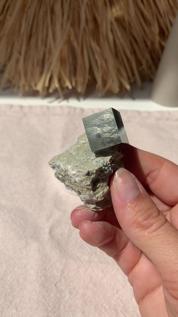Miniature : Pyrite sur Gangue